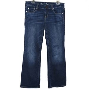 American Eagle Favorite Boyfriend Stretch Jeans 10